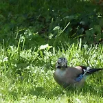 Bed & Breakfast Les Rouges Gorges Lugos