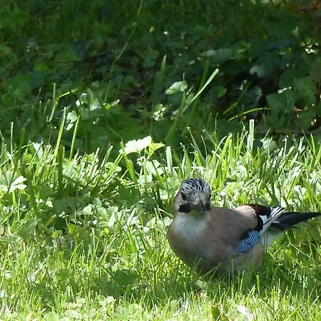 Couette-café Les Rouges Gorges Lugos